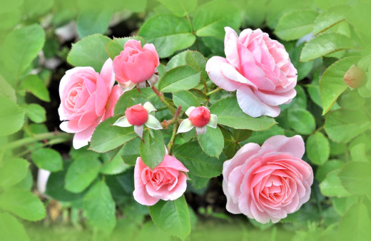 847186 (a): :2000x1297
